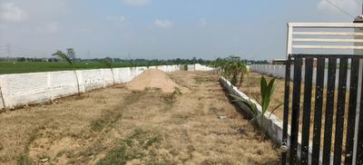 Bihta Plot View 3