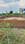 Theism Plot View 2