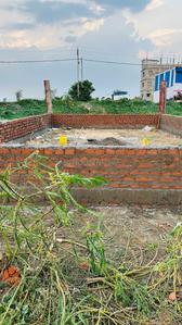 Theism Plot View 2