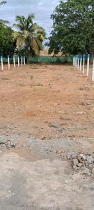 Residential Plot
