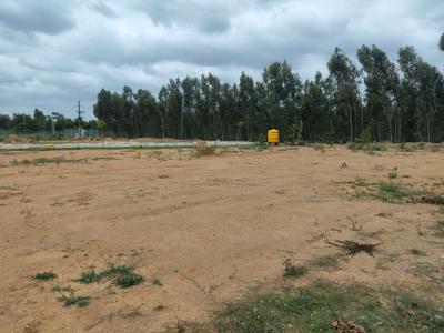 Residential Plot