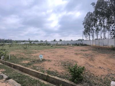 Residential Plot