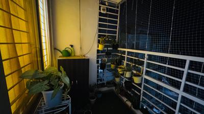 Balcony Image of 1170 Sq.ft 2 BHK Apartment / Flat for rent in Fortune Kasturi, Bagmugaliya Bhopal for Rs. 24000
