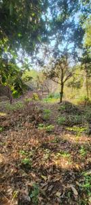 Image of 2450 Sq.ft Residential Plot / Land for sale in Colvale, Goa for Rs. 61300000