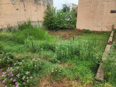 Kharar Plot View 2