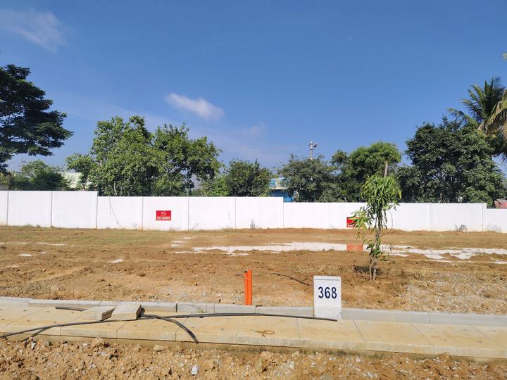 Ruby Sizzle Heritage Main Image 1