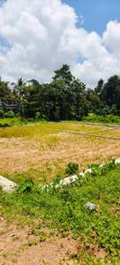 Image of 2178 Sq.ft Residential Plot / Land for sale in Kakkanad, Kochi for Rs. 1250000
