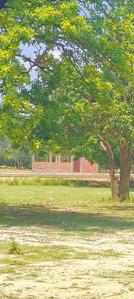 Image of 2000 Sq.ft 2 BHK Farm House for sale in Charbagh, Lucknow for Rs. 750000