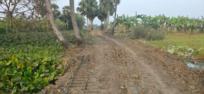 Image of 2160 Sq.ft Residential Plot / Land for sale in Natures Paradise, Joka, Kolkata for Rs. 449999