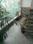 Balcony Image of SHIVA PG in Subhash Nagar, New Delhi