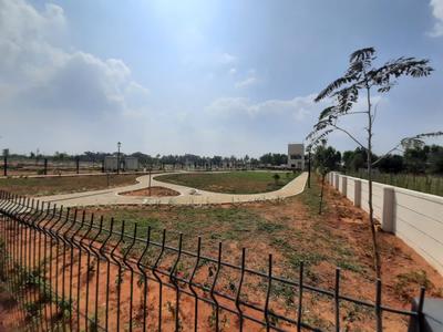 Chartered Woodpecker Plot View 2