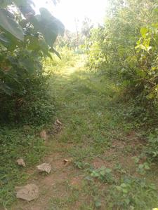 Image of 10890 Sq.ft Residential Plot / Land for sale in Killannur, Thrissur for Rs. 3125000