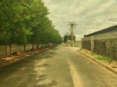 Annur Plot View 2