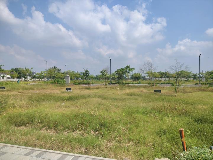 Sameera New Blossom Main Image 1