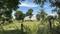 Akila  spring valley Main Image 1