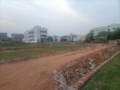 Jharapada Plot View 3