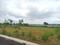 Pashambanda Main Image 1