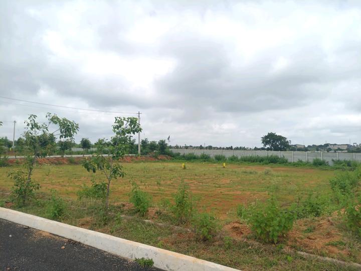 Pashambanda Main Image 1