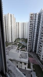 Balcony Image of 950 Sq.ft 3 BHK Apartment / Flat for rent in Amrapali Dream Valley 2, Noida Extension Greater Noida for Rs. 23000