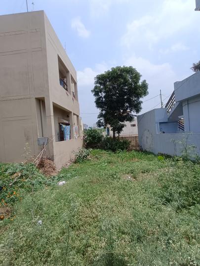 Mothrowala Main Image 1