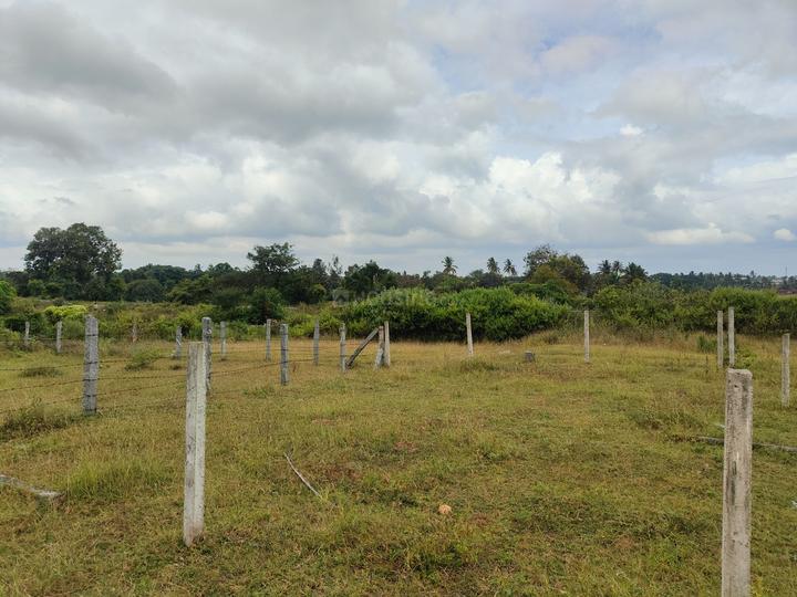 Sathgalli Main Image 1