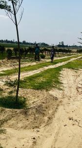 Image of 1000 Sq.ft Residential Plot / Land for sale in Bargadwa, Gorakhpur for Rs. 651000