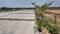 Jinke Thimmanahalli Plot View 2