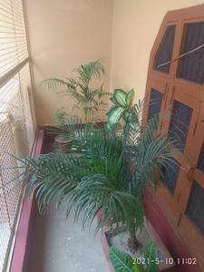 Balcony Image of 1980 Sq.ft 4 BHK Independent House for sale in Village Kakathera Gajraula for Rs. 3700000