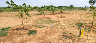 Image of 11104 Sq.ft Residential Plot / Land for sale in Sooriyur, Tiruchirappalli for Rs. 1765377