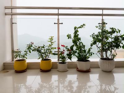 Balcony Image of 1040 Sq.ft 2 BHK Apartment / Flat for sale in Rosa Bella, Hiranandani Estate Thane for Rs. 15500000