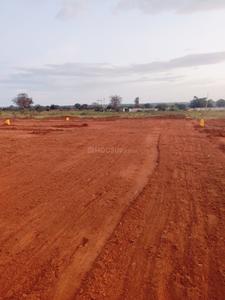 Shadnagar Plot View 3
