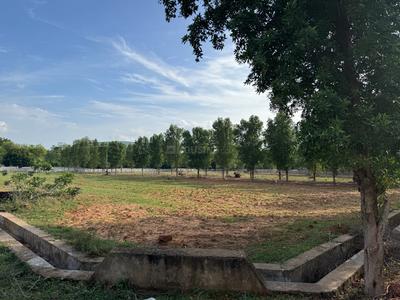 Kothavalasa Plot View 3
