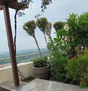 Balcony Image of 1680 Sq.ft 3 BHK Apartment / Flat for rent in Gemini Gardenia, Phase 3rd Gorakhpur for Rs. 21000