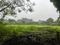 Maval Plot View 2