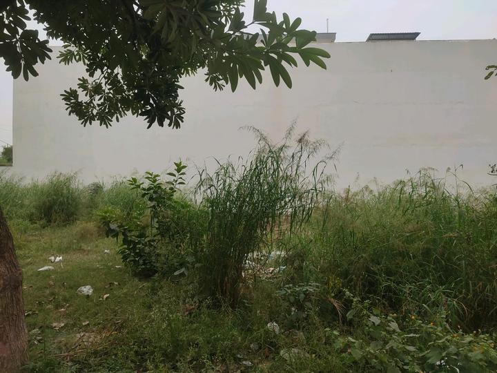 Sector 43 Main Image 1