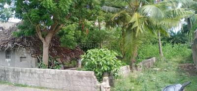 Residential Plot