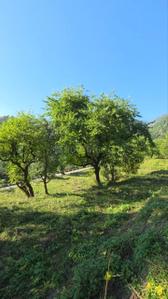 Rajpur Udyan Plot View 3