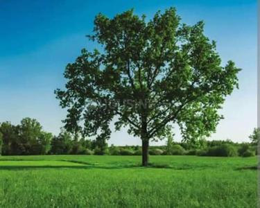 Image of 1200 Sq.ft Residential Plot / Land for sale in Kundarapalli, Krishnagiri for Rs. 700000