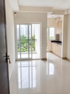 Hall Image of 585 Sq.ft 1 RK Apartment / Flat for sale in Amrapali Dream Valley 2, Noida Extension Greater Noida for Rs. 4200000