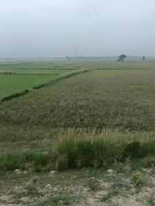 Image of 2700 Sq.ft Residential Plot / Land for sale in Basdeopur, Darbhanga for Rs. 3300000