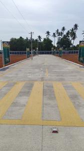 Image of 1000 Sq.ft Residential Plot / Land for sale in Trichy, Tiruchirappalli for Rs. 3500000