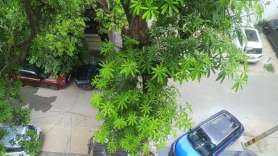Image of 2100 Sq.ft 3 BHK Builder Floor for sale in Panchsheel Enclave, New Delhi for Rs. 95000000