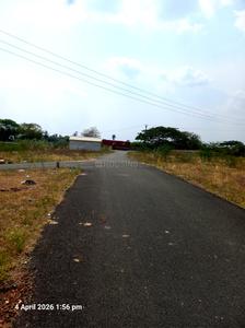 Irungalur Plot View 1