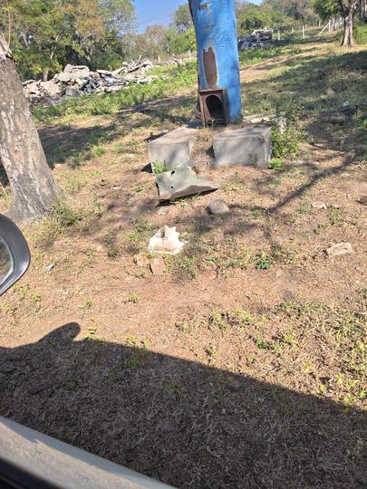 Ajwa Nimeta Link Road Main Image 1