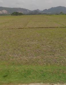 Image of 80000 Sq.ft Residential Plot / Land for sale in Rani Bagan, Guwahati for Rs. 31300000