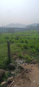 Kalitakuchi Plot View 2