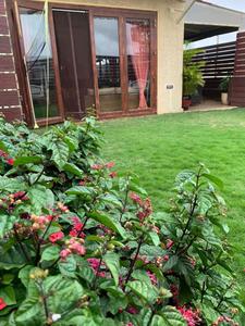 3 BHK Penthouse