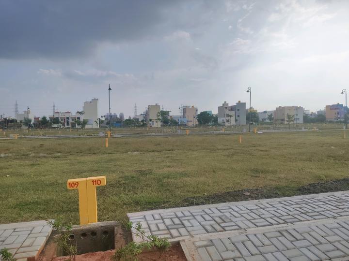 Amber County Main Image 1