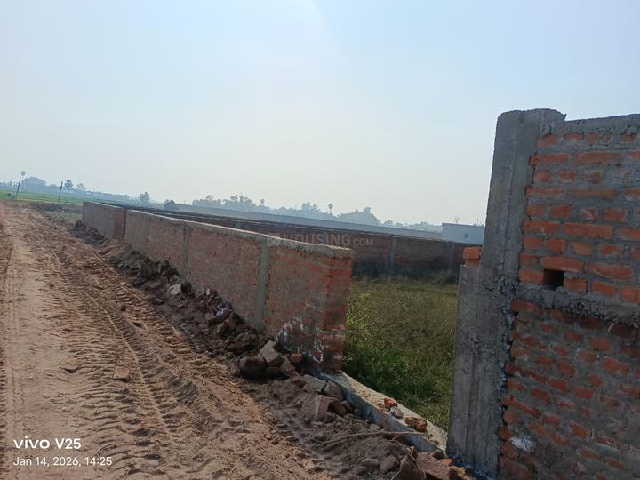 Bhusaula Danapur Chak Main Image 1