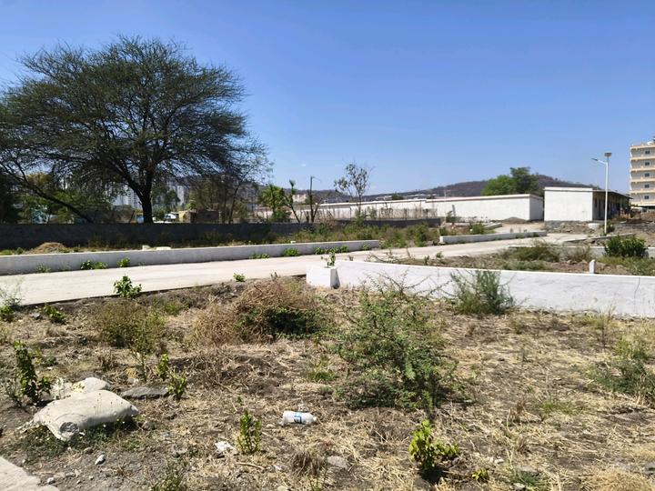 GREEN ENCLAVE Main Image 1